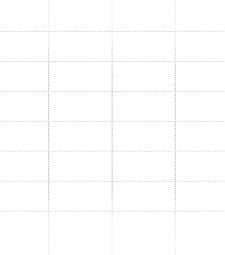checks_icon_sm